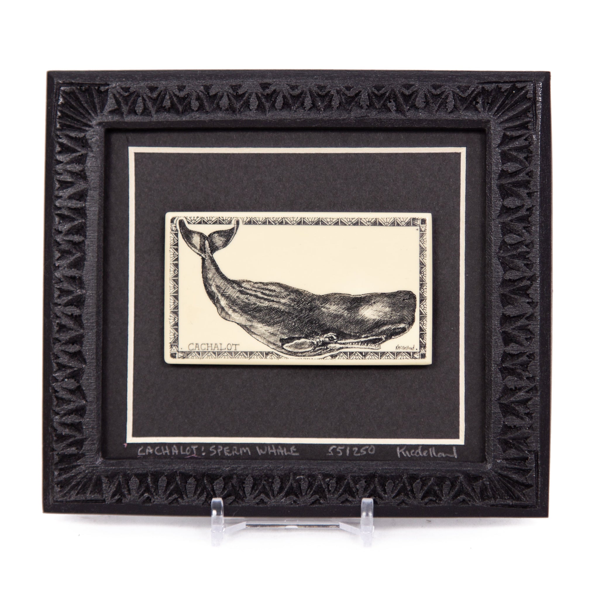 "Cachalot: Sperm Whale" Large Chip Carved Frame